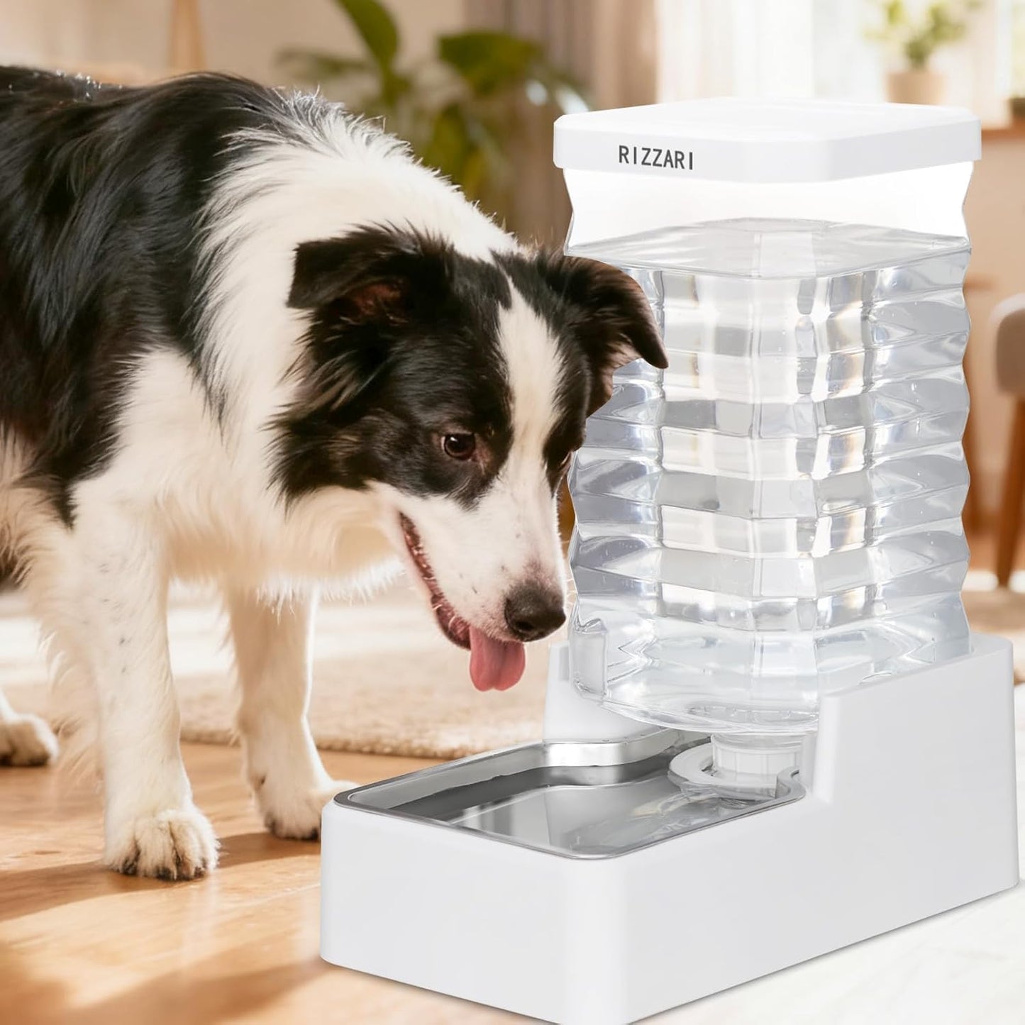 RIZZARI 10L Stainless Steel Dog Water Dispenser – Large Capacity Gravity Auto-Refill Waterer with Anti-Tip Design for Large Dogs, Ideal for Living Rooms, Offices & Indoor Pet Spaces