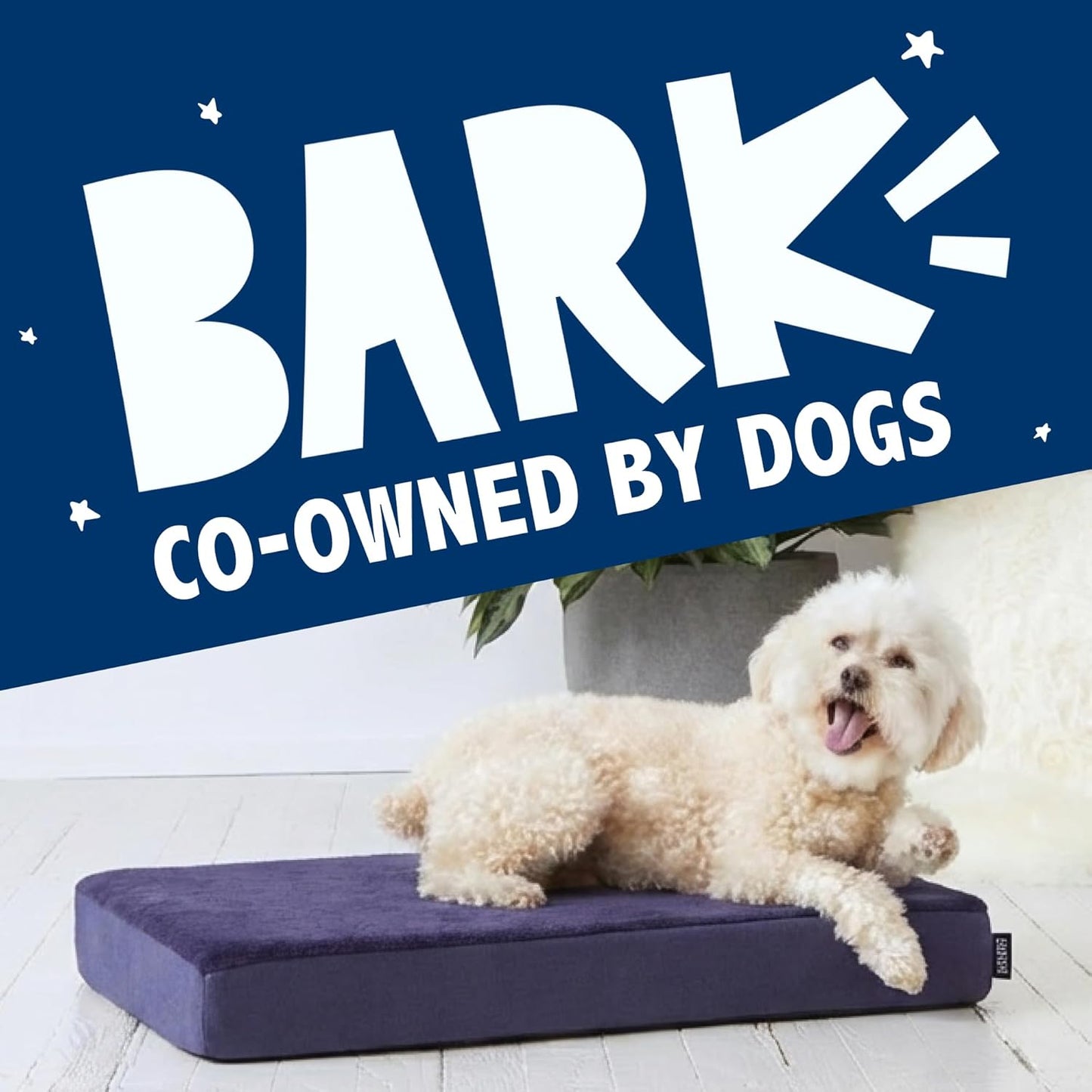 Barkbox Orthopedic Dog Bed with Memory Foam, Premium Comfort for Dogs and Puppies, Large Sized Dog Bed for Joint Relief and Restful Sleep, Durable and Easy to Clean - Grey, Large