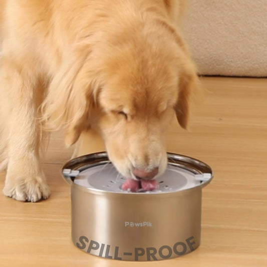 PawsPik Spill Proof Stainless Steel Dog Water Bowl – 4L Slow Drinking Pet Bowl with Floating Tray, Non-Tip, BPA-Free, Dishwasher Safe – for Large Dogs & Multi-Pet Homes