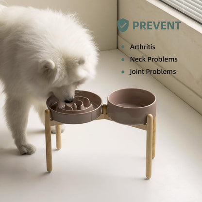 Havniva Ceramic Slow Feeder Dog Bowls, 1.6 Cups Dog Bowl Slow Feeding for Medium Breed, 8.2inch Puzzle Dog Food Bowl Slow Feeder Non-Slip Anti-Gulping and Anti-Choking Reduces Bloating
