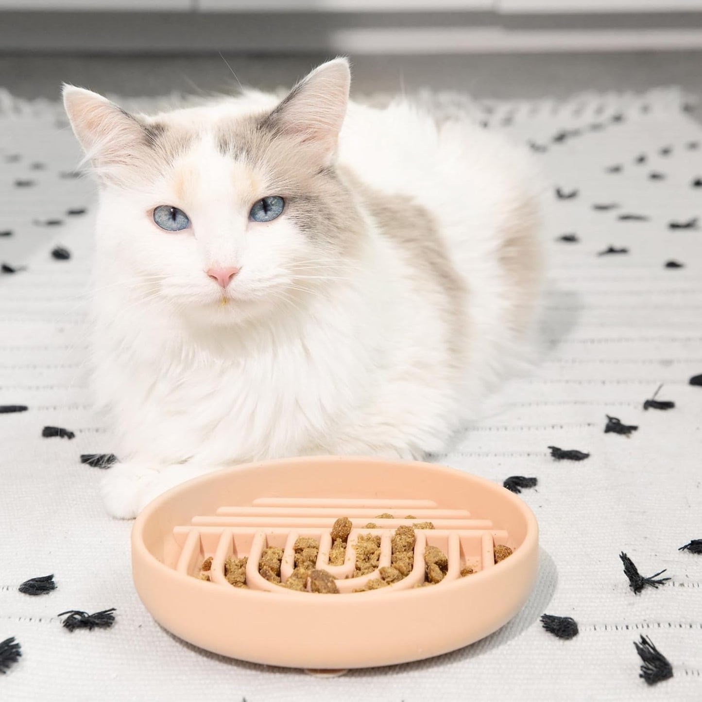 Should We Go? Slow Feeder for Dogs & Puppies, The Slowdown Bowl Silicone Slow Eating, Modern Lick Mat Design, Reduces Gulping, Fits 2 Cups, 7.5” Across x 1.5” Tall, Mealtime Challenge, Medium-Blush