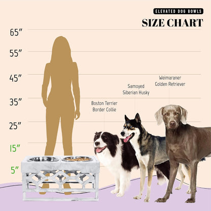 AVERYDAY Elevated Dog Bowls, 4 Height Adjustable Stand for Medium and Large Dogs, Raised Dog Feeder Holder with 2 Stainless Steel Food and Water Bowls, Anti-Slip Base Tall Feeding Station