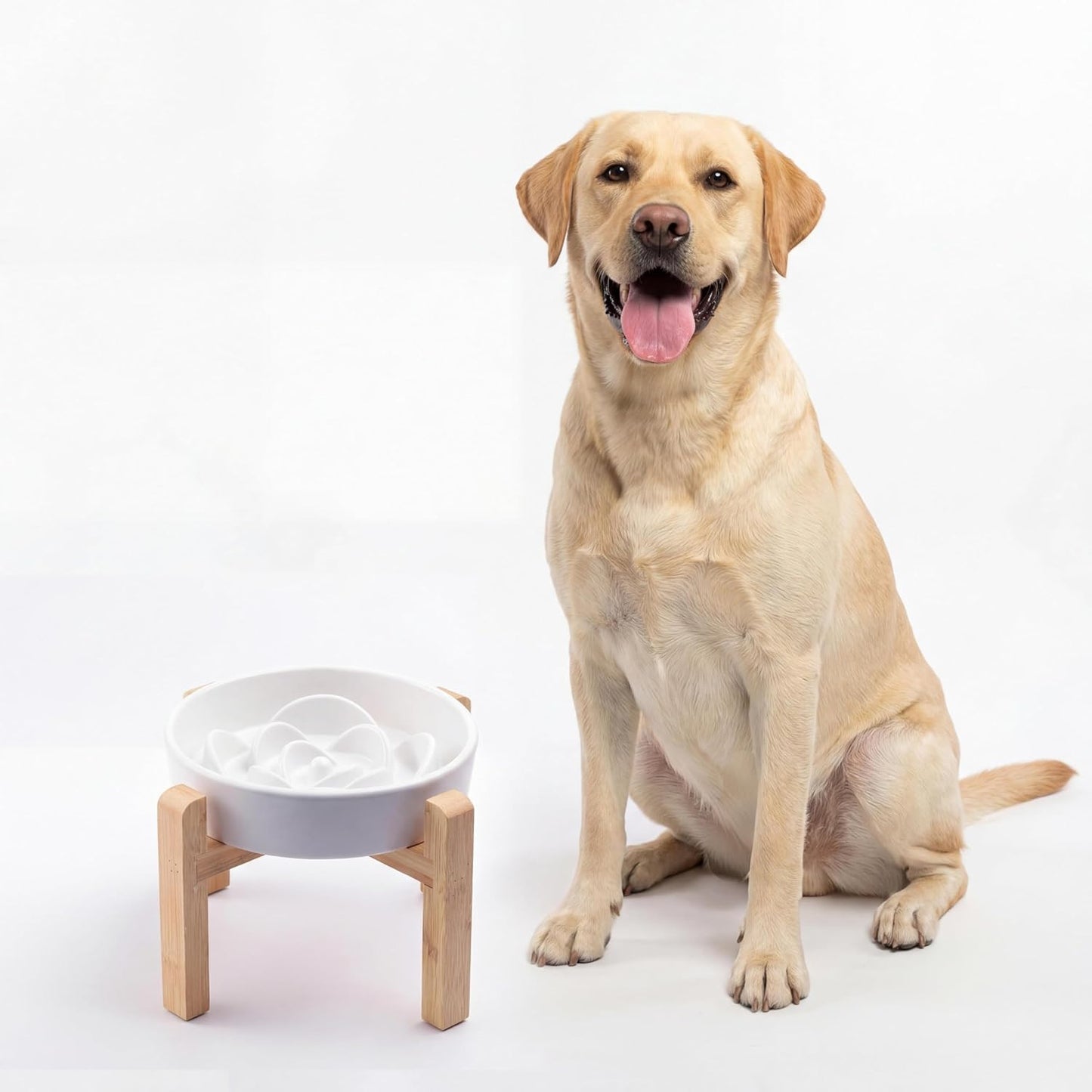 Ceramic Slow Feeder/Dog Bowl for Small Medium Dogs,Elevated/Raised Slow Feeding Dog Food Water Dish Heavy Weighted,Puzzle Eating Bowl Moder （Stars Mark-Forest Green, 8.26in）