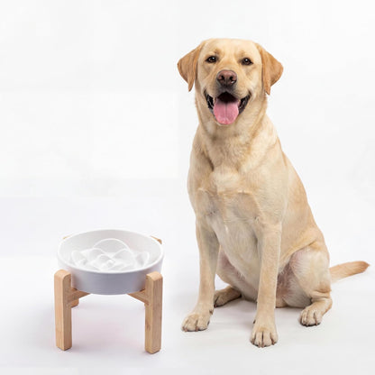Ceramic Slow Feeder/Dog Bowl for Small Medium Dogs,Elevated/Raised Slow Feeding Dog Food Water Dish Heavy Weighted,Puzzle Eating Bowl Moder （Stars Mark-Forest Green, 8.26in）