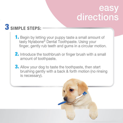Nylabone Advanced Oral Care Natural Dog Dental Kit Peanut Flavor 2.5 oz.