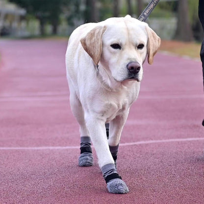 KOOLTAIL Dog Socks Shoes for Hot Pavement to Prevent Licking Paws, Winter Dog Boots&Paw Protector for Hardwood Floors Anti Slip,Traction Control Grip Booties for Small Medium Large Senior Dogs,Black M