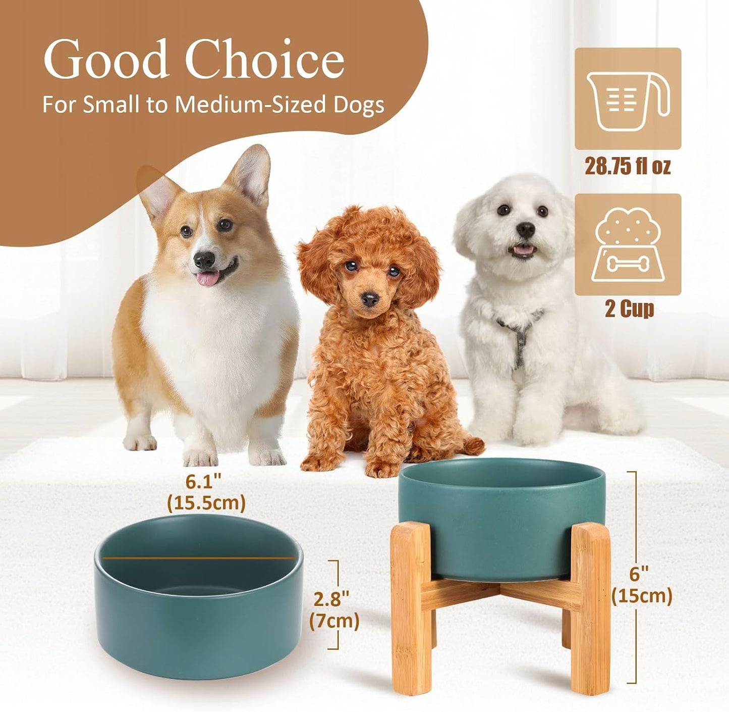 Elevated Ceramic Cat Bowl - Cat Food Bowl with Bamboo Stand - Raised Dog Dish for Puppies - Anti Vomiting, Stress Free - 13.5 oz / 400 ml - White