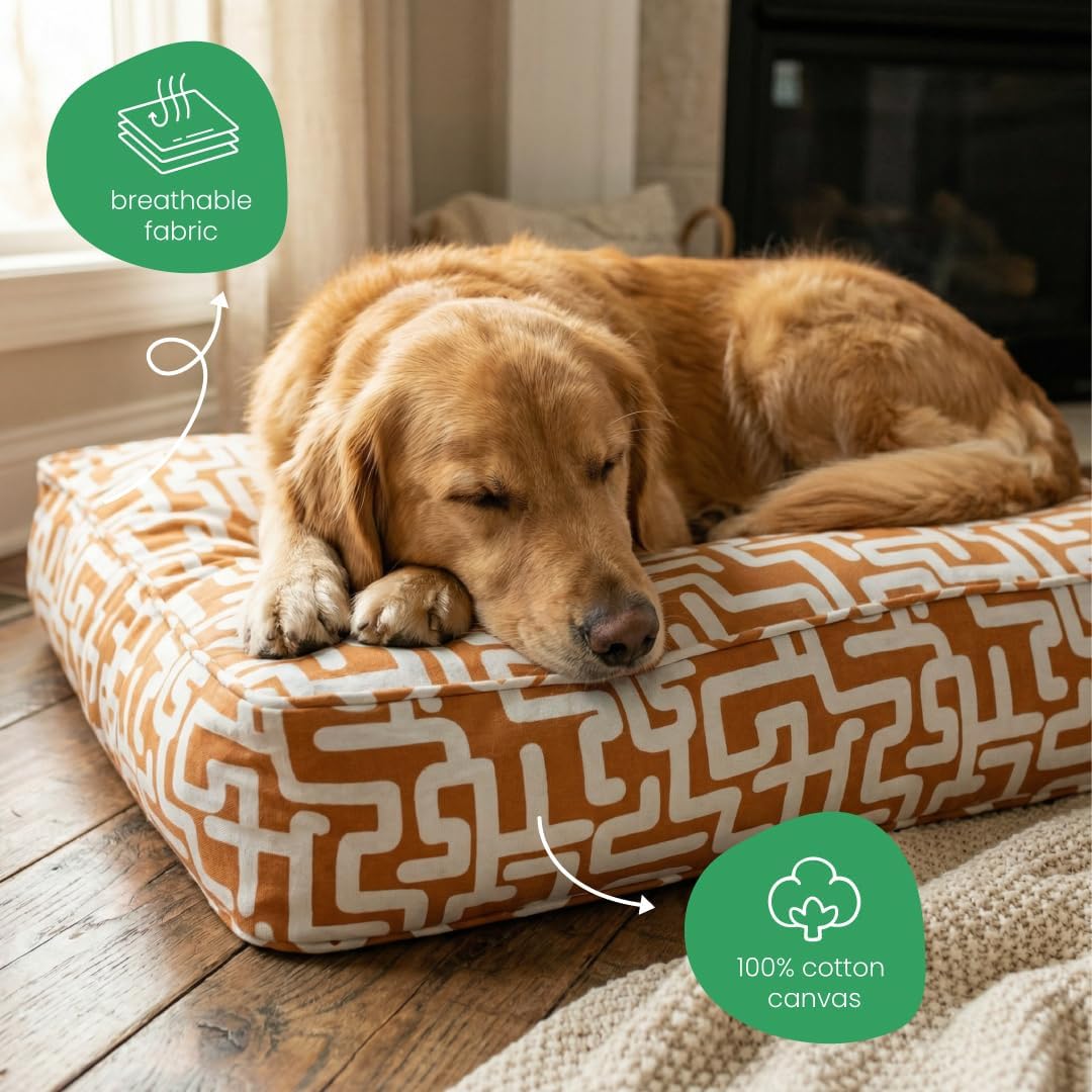 Molly Mutt Medium to Large Dog Bed Cover- Forever Young Print - Measures 27”X36”X5’’ - 100% Cotton - Durable - Breathable - Sustainable - Machine Washable Dog Bed Cover (Dd82b)