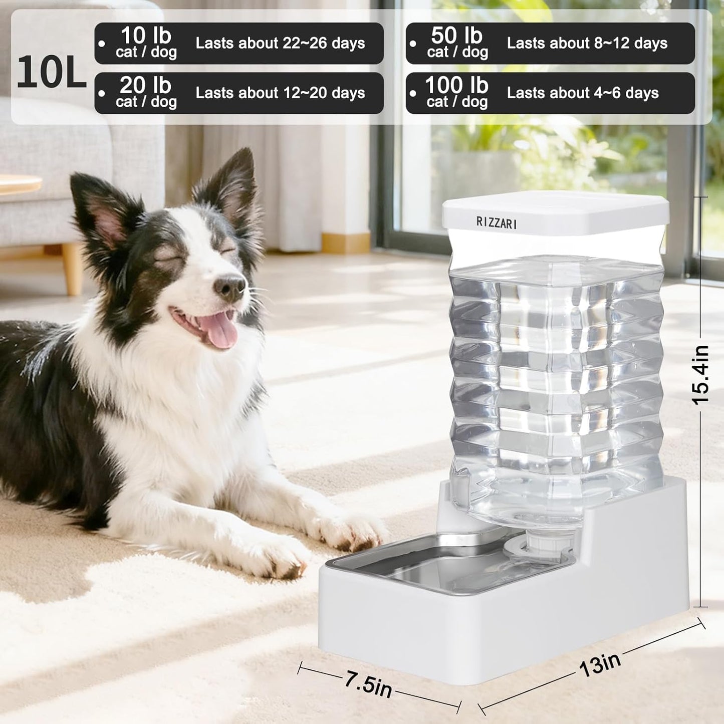 RIZZARI 10L Stainless Steel Dog Water Dispenser – Large Capacity Gravity Auto-Refill Waterer with Anti-Tip Design for Large Dogs, Ideal for Living Rooms, Offices & Indoor Pet Spaces