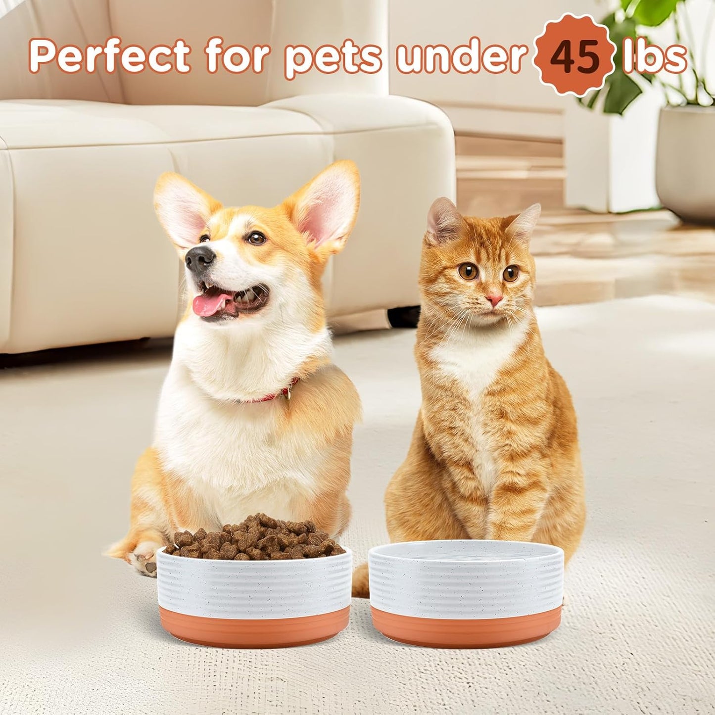 SPUNKYJUNKY Elevated Dog Bowls Ceramic, 6.1'' Dogs and Cat Food Water Bowls Raised with Non-Slip Bamboo Stand for Medium Sized Breed Microwave Dishwasher Safe - 28.7 OZ,Beige