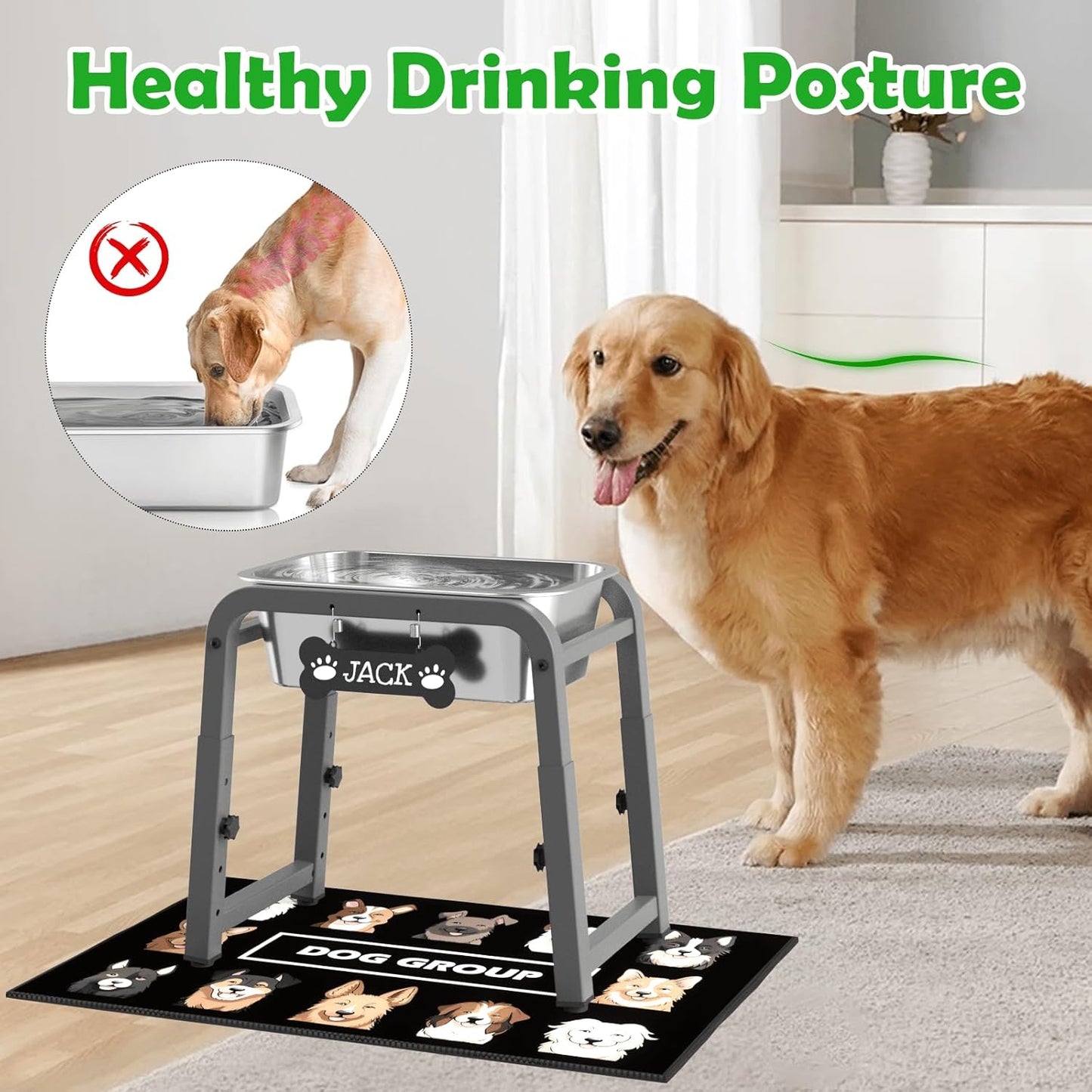 1.2 Gallon Elevated Dog Water Bowl, Height Adjustable (11–17'') Raised Stainless Steel Bowl with Spill-Proof Mat & Sturdy Metal Stand, Tip-Proof, Easy to Clean, Indoor & Outdoor Use