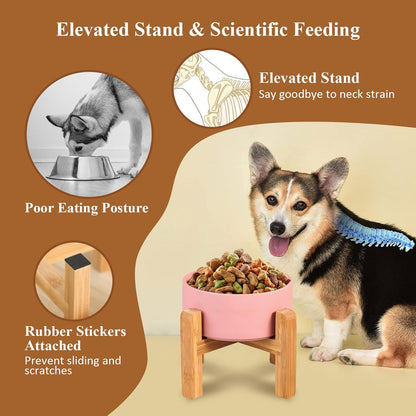 Elevated Ceramic Cat Bowl - Cat Food Bowl with Bamboo Stand - Raised Dog Dish for Puppies - Anti Vomiting, Stress Free - 13.5 oz / 400 ml - White