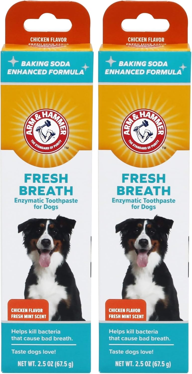 Arm & Hammer for Pets Fresh Breath Enzymatic Dog Toothpaste, Vanilla Ginger Flavor, Safe for Puppies and Adult Dogs, Daily Baking Soda Dental Gel to Eliminate Bad Breath, 2.5 Oz
