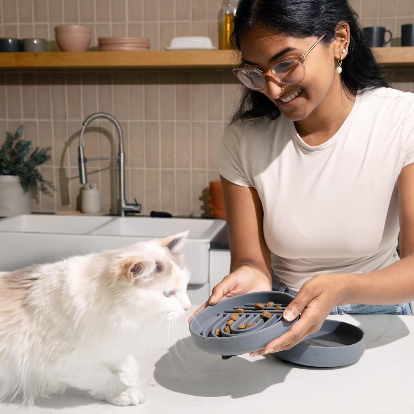 Should We Go? Slow Feeder for Dogs & Puppies, The Slowdown Bowl Silicone Slow Eating, Modern Lick Mat Design, Reduces Gulping, Fits 2 Cups, 7.5” Across x 1.5” Tall, Mealtime Challenge, Medium-Blush