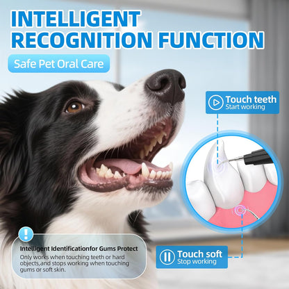 Plaque Remover for Teeth, Pet Ultrasonic Cleaner, Dog Plaque and Tartar Remover with LED Light, Dog Teeth Cleaning Dental Care Kit for Tartar and Stains, Suitable for Dogs and Cats (Black)