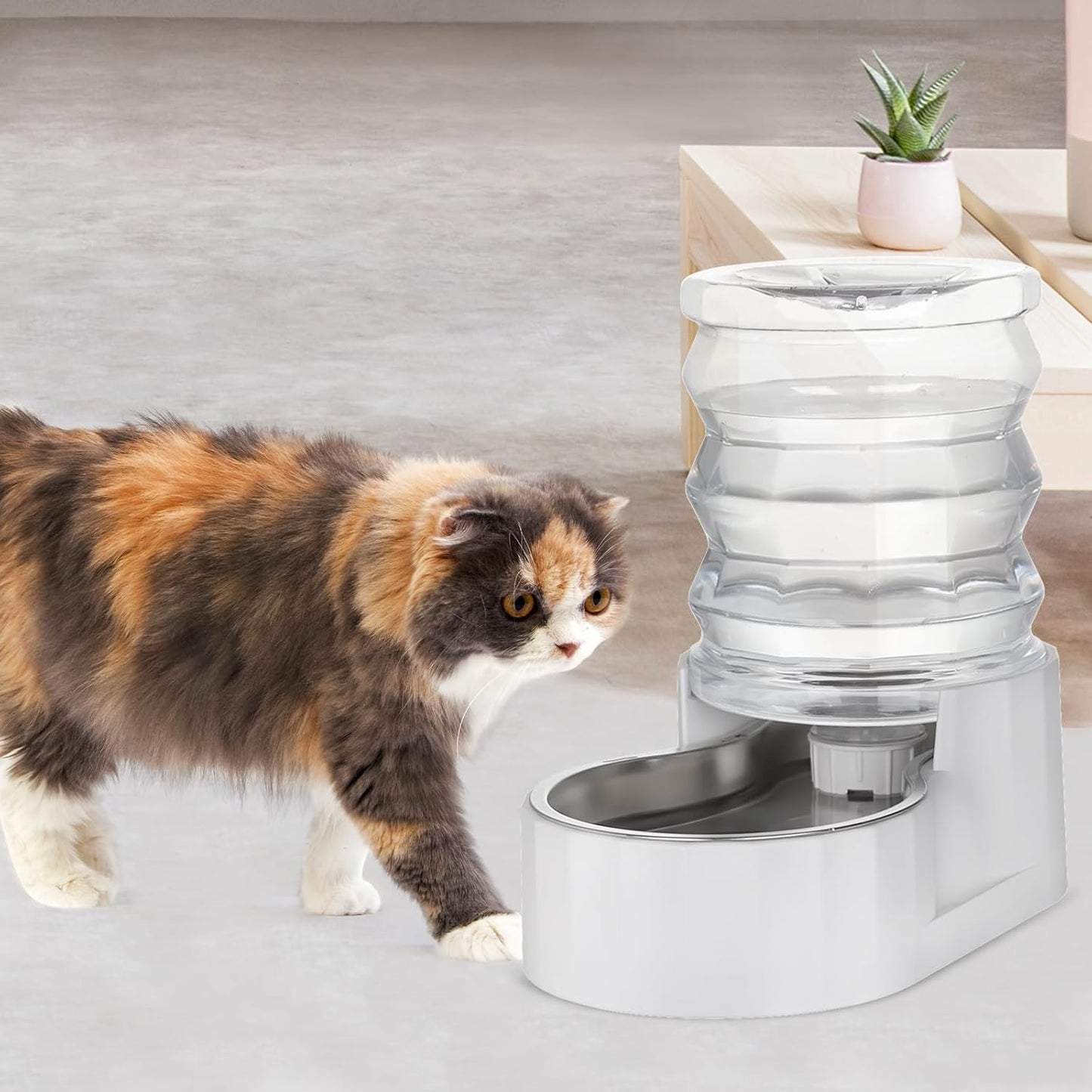 RIZZARI 8L Elevated Pet Water Dispenser – Stainless Steel Gravity Waterer with Auto-Refill Design for Medium and Large Dogs & Senior Pets -Comfortable Drinking Height for Living Rooms,Multi-Pet Homes