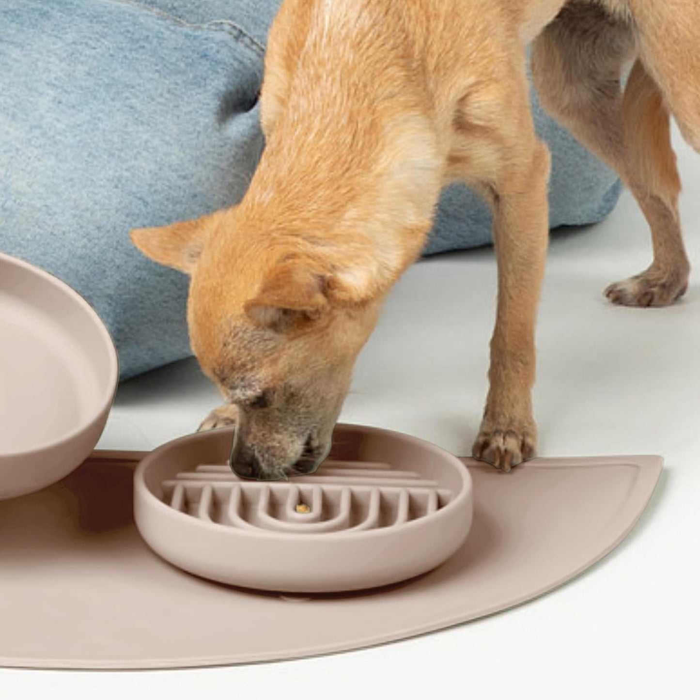 Should We Go? Slow Feeder for Dogs & Puppies, The Slowdown Bowl Silicone Slow Eating, Modern Lick Mat Design, Reduces Gulping, Fits 2 Cups, 7.5” Across x 1.5” Tall, Mealtime Challenge, Medium-Blush