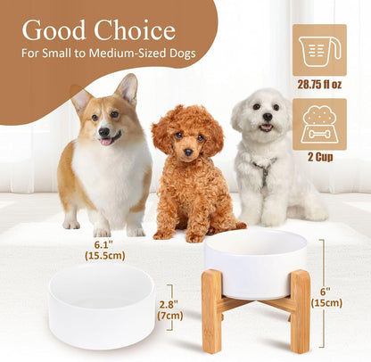 Elevated Ceramic Cat Bowl - Cat Food Bowl with Bamboo Stand - Raised Dog Dish for Puppies - Anti Vomiting, Stress Free - 13.5 oz / 400 ml - White