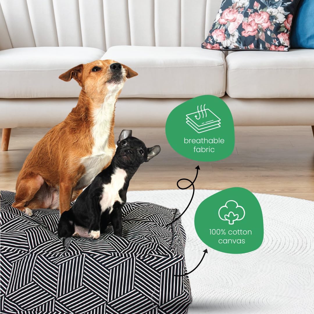Molly Mutt Medium to Large Dog Bed Cover- Forever Young Print - Measures 27”X36”X5’’ - 100% Cotton - Durable - Breathable - Sustainable - Machine Washable Dog Bed Cover (Dd82b)
