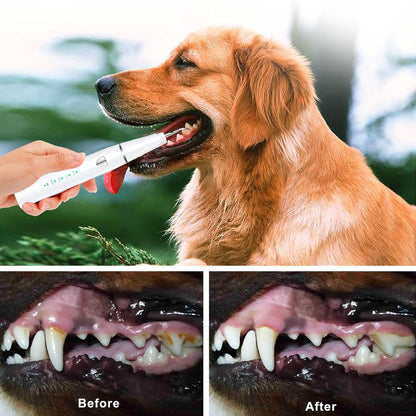 Plaque Remover for Teeth, Pet Ultrasonic Cleaner, Dog Plaque and Tartar Remover with LED Light, Dog Teeth Cleaning Dental Care Kit for Tartar and Stains, Suitable for Dogs and Cats (Black)