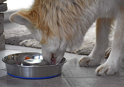 OurPet's DuraPet Slow Feed Premium Stainless Steel Dog Bowl, Silver (2040010301)