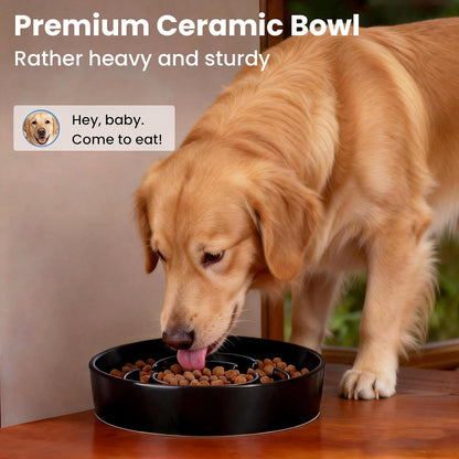 Ceramic Slow Feeder Dog Bowls,2.0 Cups Slow Feeder for Medium Breed,Puzzle Dog Food Bowl to Slow Down Eating, Anti-Gulping, Stop Bloat,Preventing Choking,8in,White