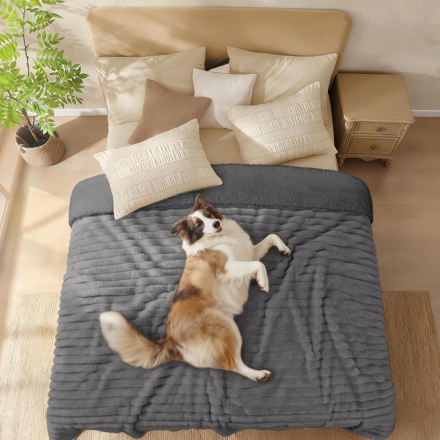 Luciphia Waterproof Dog Blanket for Large Dogs Ultra-Soft Calming Cut Pile Flannel Throw Durable & Warm Furniture Protection for Couch Bed Pet Blanket Machine Washable Stone Gray,L(65''x57'')