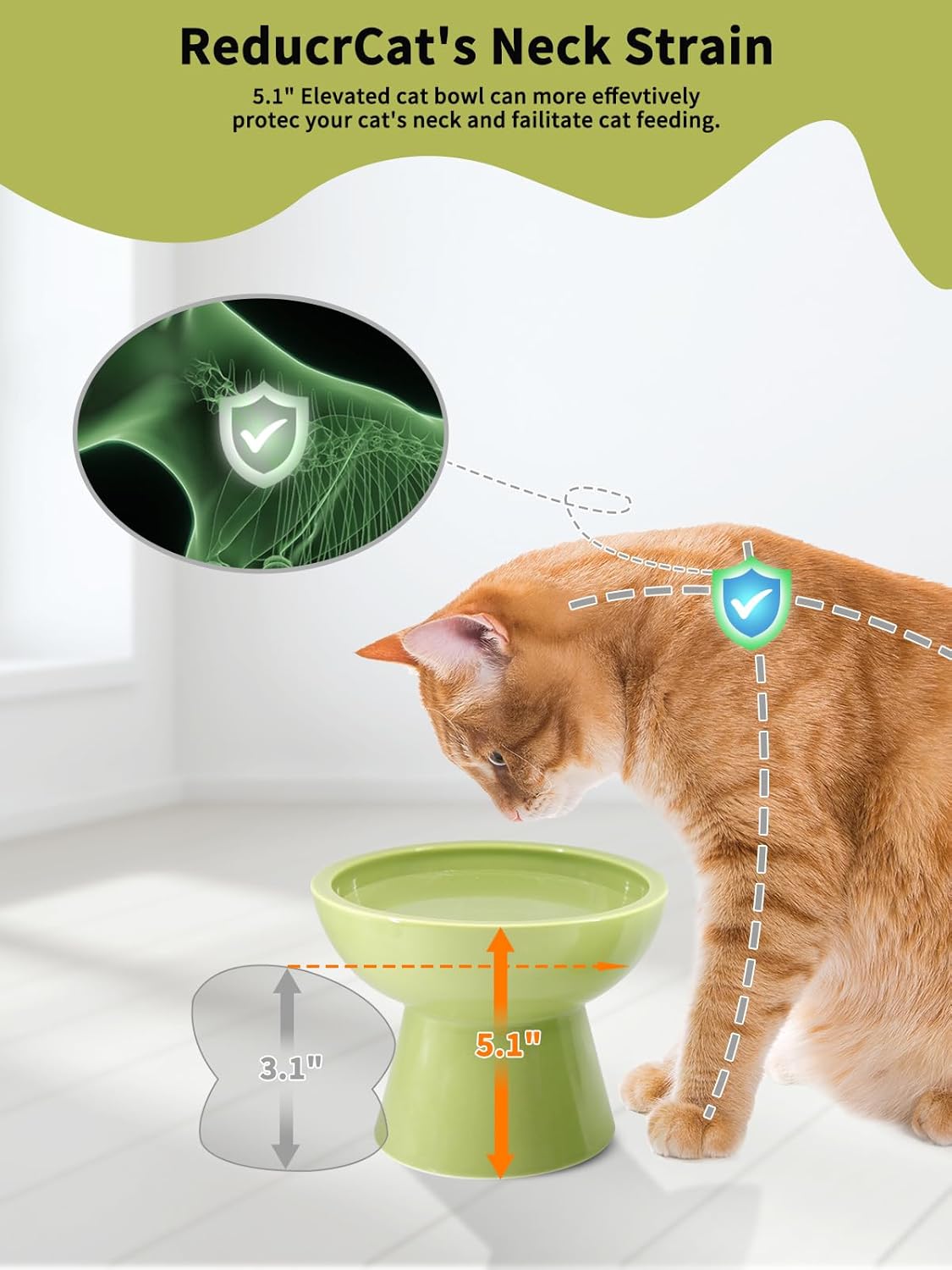 LoeJan Elevated Cat Food and Water Bowls Set, Extra Wide and Raised Ceramic Bowls, Anti-Vomit Whisker-Free Pressure Cat Feeder for Kittens to Adult Cats and Small Dogs (White, Water Bowl)
