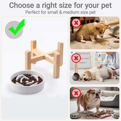 Ceramic Slow Feeder/Dog Bowl for Small Medium Dogs,Elevated/Raised Slow Feeding Dog Food Water Dish Heavy Weighted,Puzzle Eating Bowl Moder （Stars Mark-Forest Green, 8.26in）