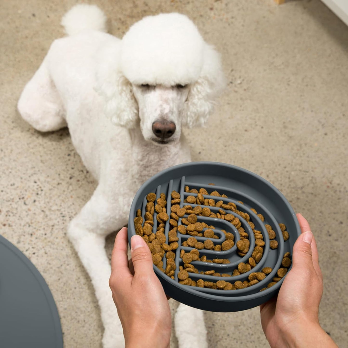 Should We Go? Slow Feeder for Dogs & Puppies, The Slowdown Bowl Silicone Slow Eating, Modern Lick Mat Design, Reduces Gulping, Fits 2 Cups, 7.5” Across x 1.5” Tall, Mealtime Challenge, Medium-Blush