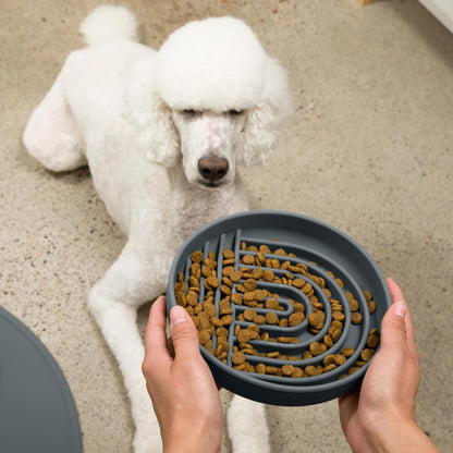 Should We Go? Slow Feeder for Dogs & Puppies, The Slowdown Bowl Silicone Slow Eating, Modern Lick Mat Design, Reduces Gulping, Fits 2 Cups, 7.5” Across x 1.5” Tall, Mealtime Challenge, Medium-Blush