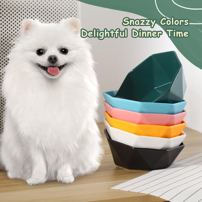 Ceramic Tilted Raised Cat Bowl - Elevated Food Bowl for Indoor Cats & Small Dogs - Shallow Wide Whisker-Friendly Design - Pet Dish Suitable for Feeding Dry, Wet, Treats & Canned Food - White