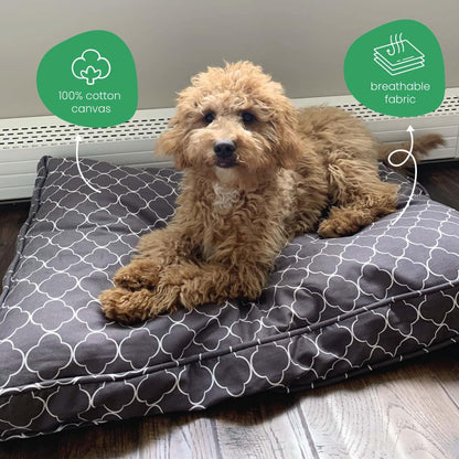 Molly Mutt Medium to Large Dog Bed Cover- Forever Young Print - Measures 27”X36”X5’’ - 100% Cotton - Durable - Breathable - Sustainable - Machine Washable Dog Bed Cover (Dd82b)