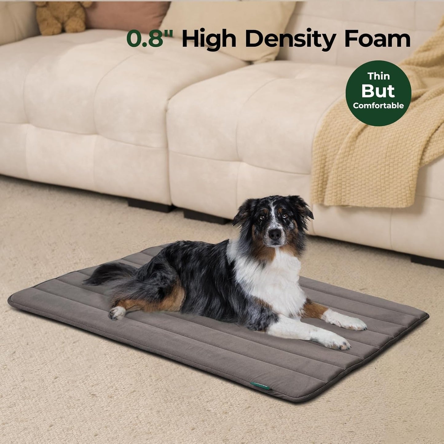 BALANCE Dog Crate Pad, Dog Foam Crate Mat Kennel Pad, Washable Water-Resistant Pet Bed Flat Dogs Cage Mat for Small Dogs