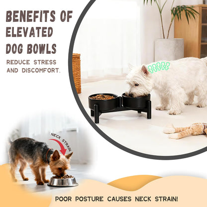 Raised Ceramic Dog Bowl Set - Elevated Double Dishes with Stainless Steel Stand - Food and Water Bowls for Small to Medium Dogs - Each Holds 3.5 Cups (29.57 fl oz) - White
