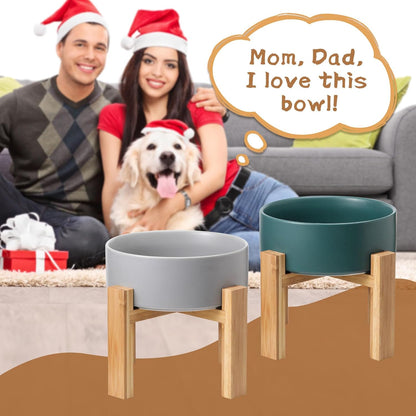Elevated Ceramic Cat Bowl - Cat Food Bowl with Bamboo Stand - Raised Dog Dish for Puppies - Anti Vomiting, Stress Free - 13.5 oz / 400 ml - White