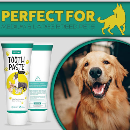 H&H Pets Dog Toothbrushes and Toothpaste Best Professional Cat & Dog Finger Tooth Brush, Dog Brush Set, Perfect for Dogs and Cats, Dog Supplies - Size Small 1 Count 3.5 Oz Toothpaste (100g)