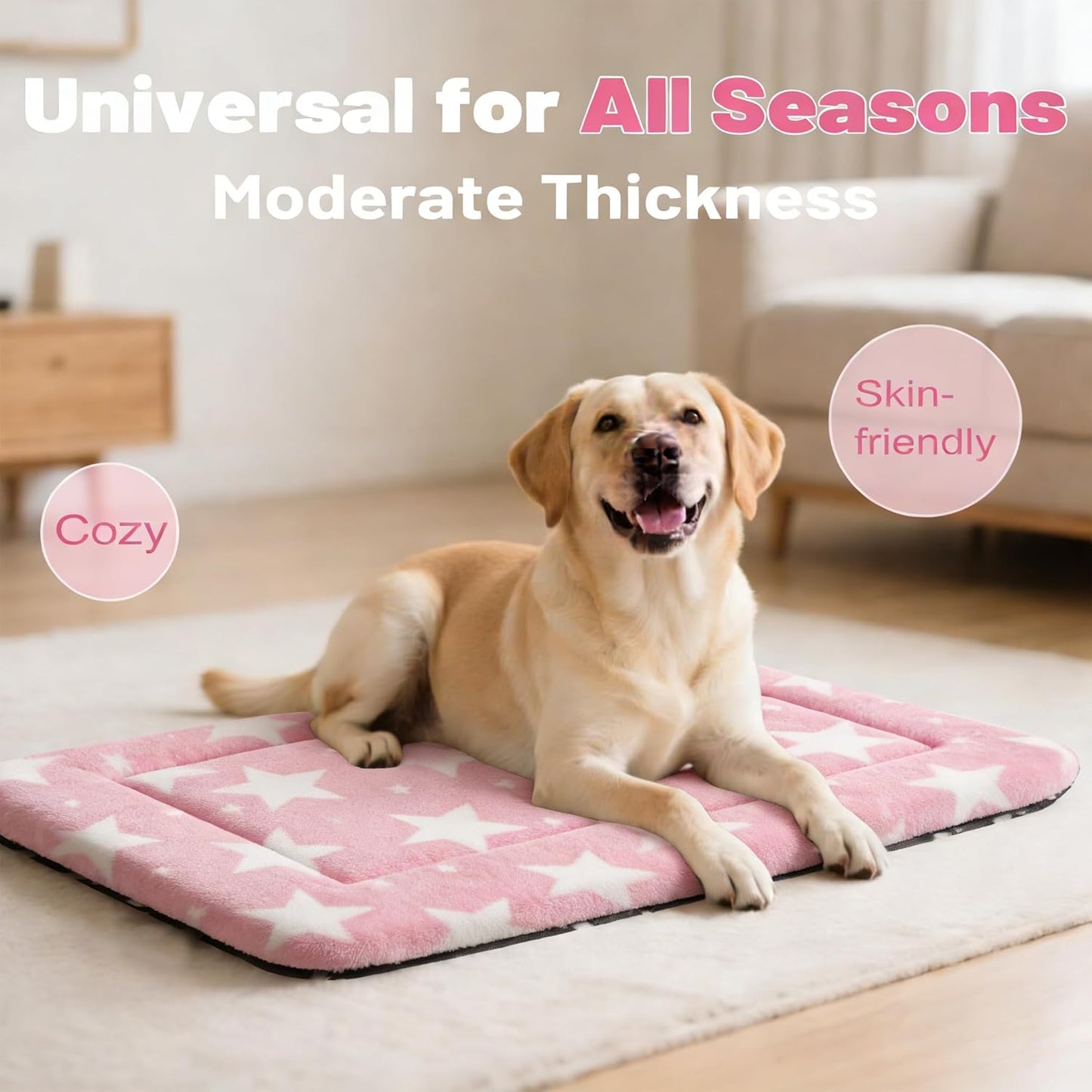 Dog Bed Mat, Reversible Crate Pad & Cute Dog Bed - Machine Washable Kennel Mat with Ultra Soft for Small Dogs (Cool/Warm), 24" x 18", Grey&Star