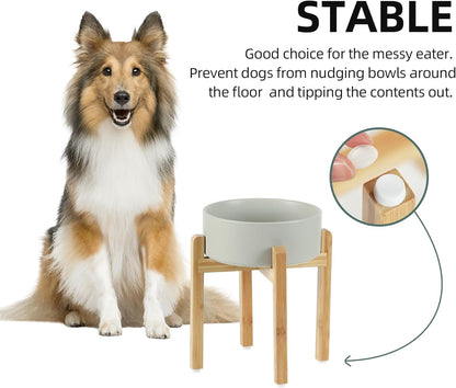 Havniva 8.3” Dog Bowls Elevated Ceramic Dog Food and Water Bowl, Raised Dog Water Bowl with Stand Non-Slip Rubber Base Large Capacity Feeding Pet Food Bowl for Large Dogs