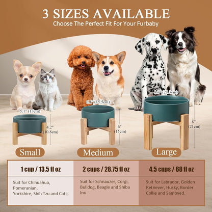 Elevated Ceramic Cat Bowl - Cat Food Bowl with Bamboo Stand - Raised Dog Dish for Puppies - Anti Vomiting, Stress Free - 13.5 oz / 400 ml - White