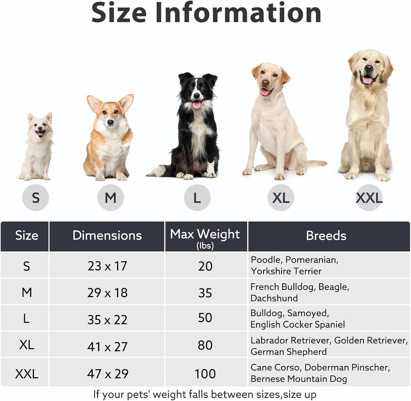 JOEJOY XL Dog Beds Large Sized Dog, Orthopedic Big Dogs Crate Bed with Washable Removable Cover, Extra Thick Egg-Crate Memory Foam Pet Beds up to 80 lbs, Grey, 41"x27"