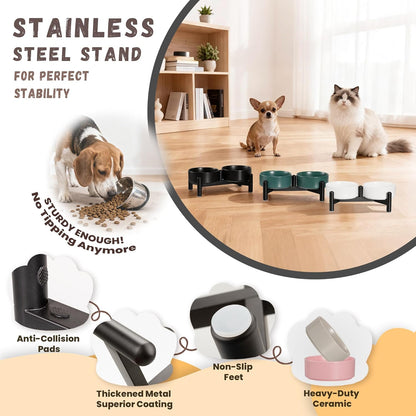 Raised Ceramic Dog Bowl Set - Elevated Double Dishes with Stainless Steel Stand - Food and Water Bowls for Small to Medium Dogs - Each Holds 3.5 Cups (29.57 fl oz) - White