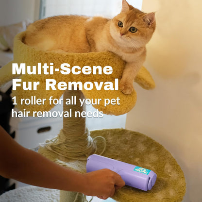 DELOMO Pet Hair Remover Roller: Reusable Lint Roller with Large Fur Bin - Portable Cat and Dog Hair Remover for Couch, Bedding, Car, Rugs & Furniture, Effective and Eco-Friendly, for Multi-Pet Homes