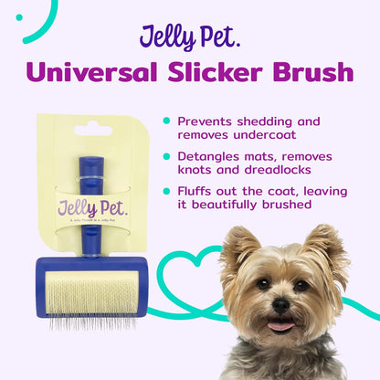 Jelly Pet Universal Slicker Brush for Dogs, Dog Grooming Brush, Remove Tangles and Dead Undercoat, Tuffer Than Tangles, Maltese Shi-Tzu Poodle Bichon, Firm Pins, Teal, Small