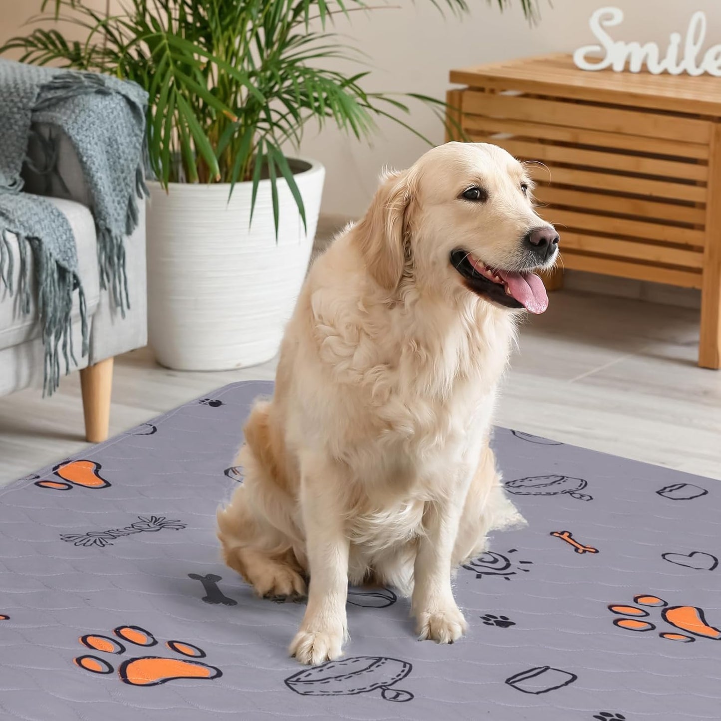 Washable Pee Pads for Dogs, 2 Pack Large 36"x41" Super Absorbent Reusable Dog Training Pads, 100% Waterproof Non-Slip Puppy Whelping Dog Playpen Indoor Pads Mat Pet Supplies