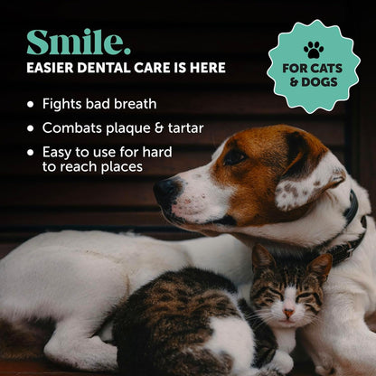 Dog Dental Finger Wipes for Teeth Cleaning Plaque Off - Dental Care for Dogs & Cats, Stain & Tartar Remover for Teeth, Finger Toothbrush Wipes, Fresh Breath & Gum Care with Zinc + Green Tea - 30 ct