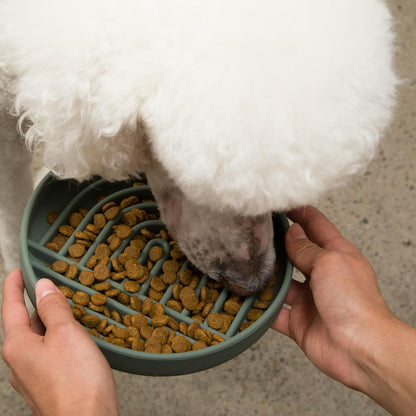 Should We Go? Slow Feeder for Dogs & Puppies, The Slowdown Bowl Silicone Slow Eating, Modern Lick Mat Design, Reduces Gulping, Fits 2 Cups, 7.5” Across x 1.5” Tall, Mealtime Challenge, Medium-Blush