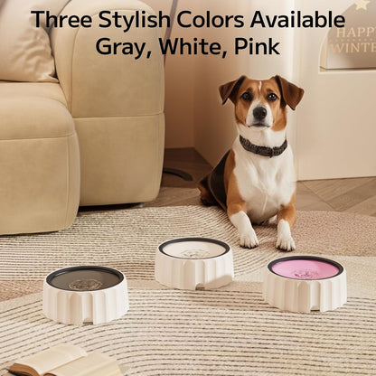 Dog Water Bowl 70oz/2L Large Capacity Water Dispenser No Spill Non Slip No Splash Pet Slow Feeder No Drip Vehicle Carried Travel Slow Drinking Bowl for Dogs Cat(White)