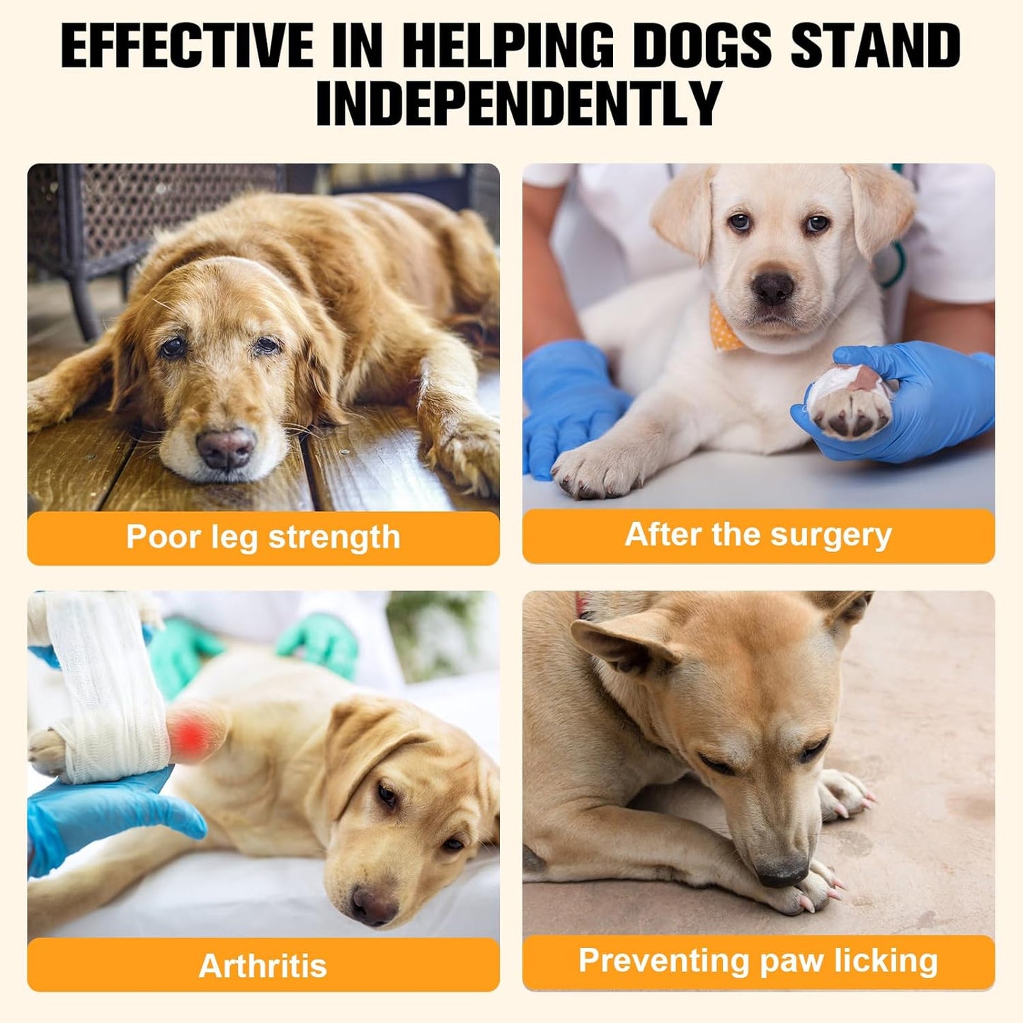 BEAUTYZOO Dog Paw Protector Anti-Slip, Paw Pads for Dogs Traction On Hardwood Floors, Paw Stickers Toe Grips for Hot/Cold Pavement for Senior Dogs, Shoes Boots Socks Replacement, 6 Sets (24 pcs) XXL