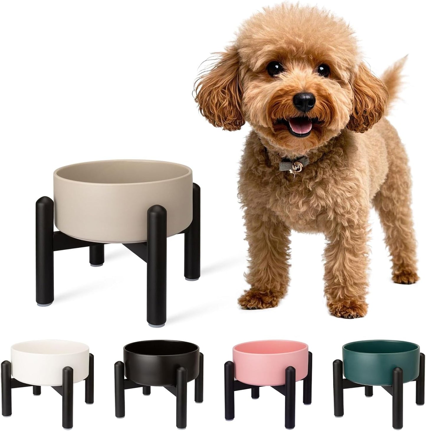 Raised Ceramic Dog Bowl Set - Elevated Double Dishes with Stainless Steel Stand - Food and Water Bowls for Small to Medium Dogs - Each Holds 3.5 Cups (29.57 fl oz) - White